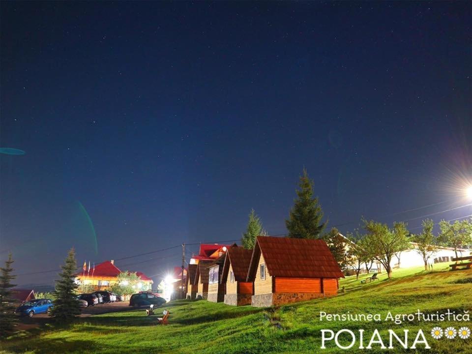 Pensiunea Agroturistica Poiana Poiana Negrii Zewnętrze zdjęcie