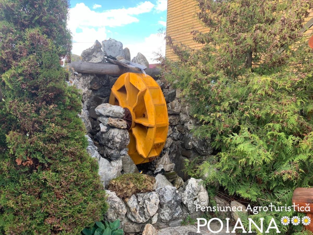 Pensiunea Agroturistica Poiana Poiana Negrii Zewnętrze zdjęcie