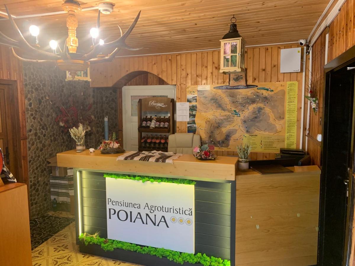 Pensiunea Agroturistica Poiana Poiana Negrii Zewnętrze zdjęcie