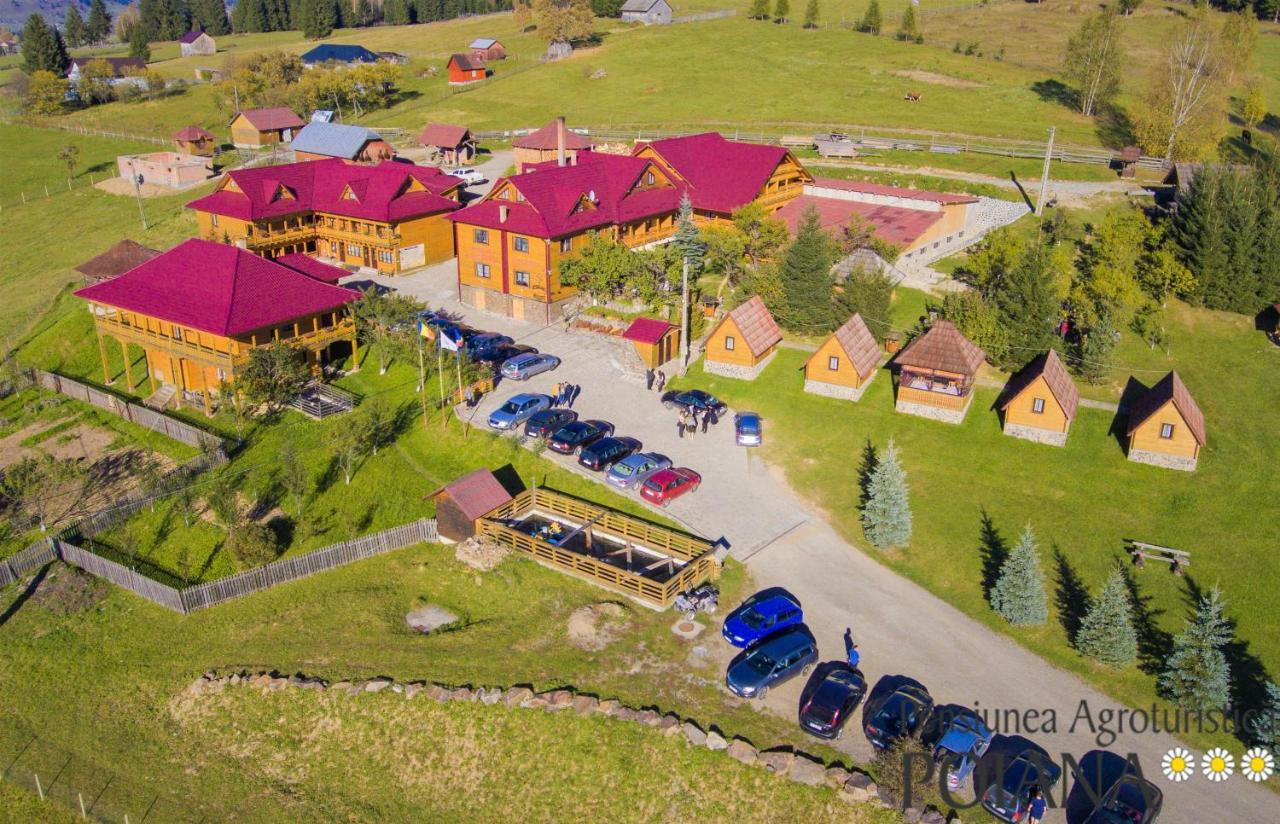 Pensiunea Agroturistica Poiana Poiana Negrii Zewnętrze zdjęcie